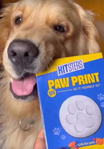 DIY Pet Paw Print Keepsake Kit — made by a Kitsters maker