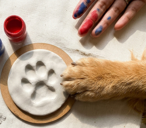 Pet Paw Print Keepsakes & Memorial Gifts