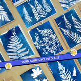 DIY Cyanotype Sun Print Kit