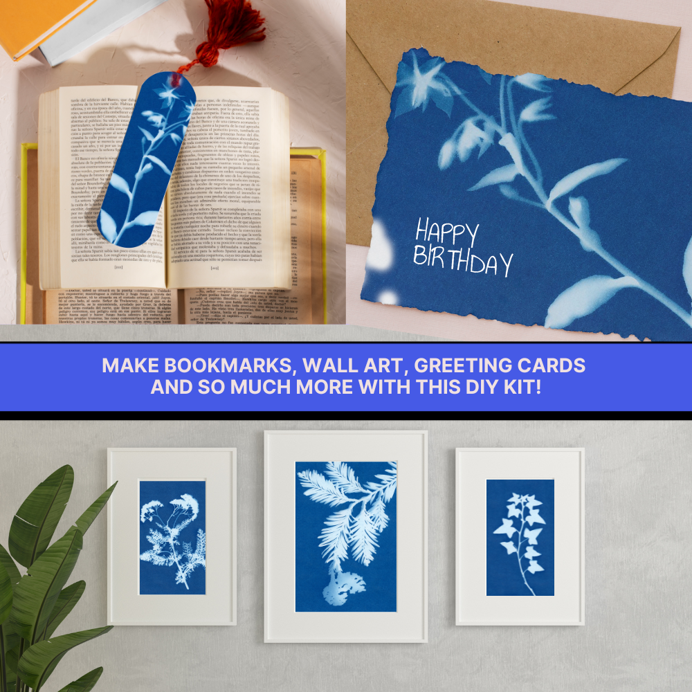 DIY Cyanotype Sun Print Kit