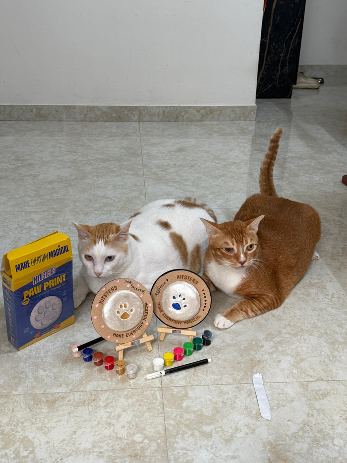 DIY Pet Paw Print Keepsake Kit — made by a Kitsters maker
